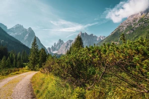 Jak użyć Facebooka i Instagrama do wsparcia SEO lokalnego w Rybniku