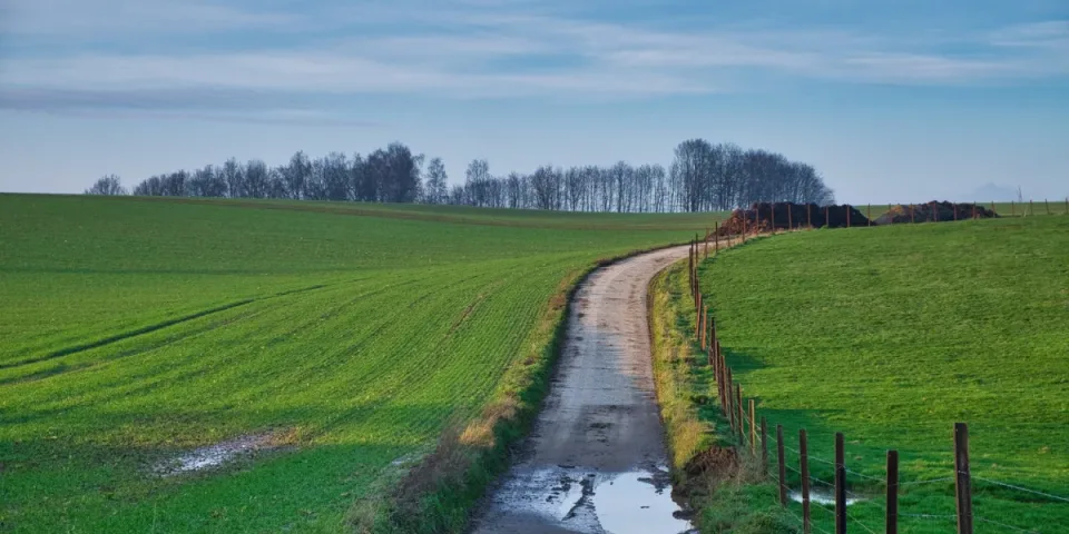 Materac Krosno - doskonały wybór dla zdrowego i komfortowego snu!
